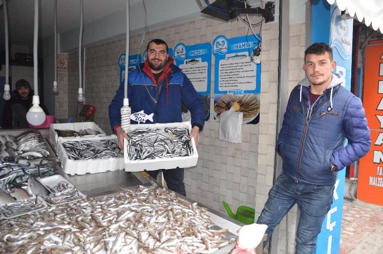 HAMSİ 20 LİRA BALIK FİYATLARI YÜKSELİŞTE