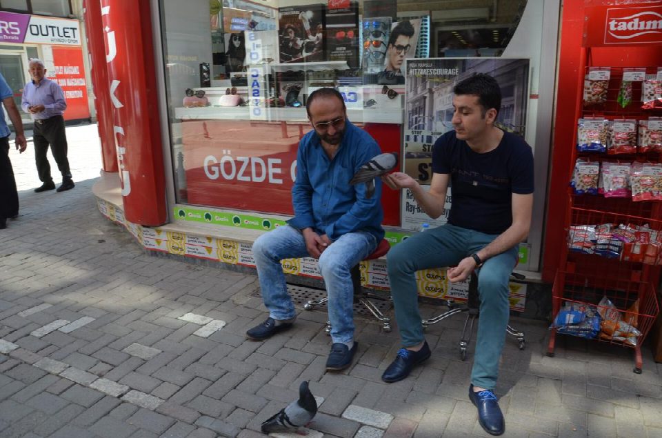 Güvercinleri her sabah elleriyle ve ağızları ile besliyorlar