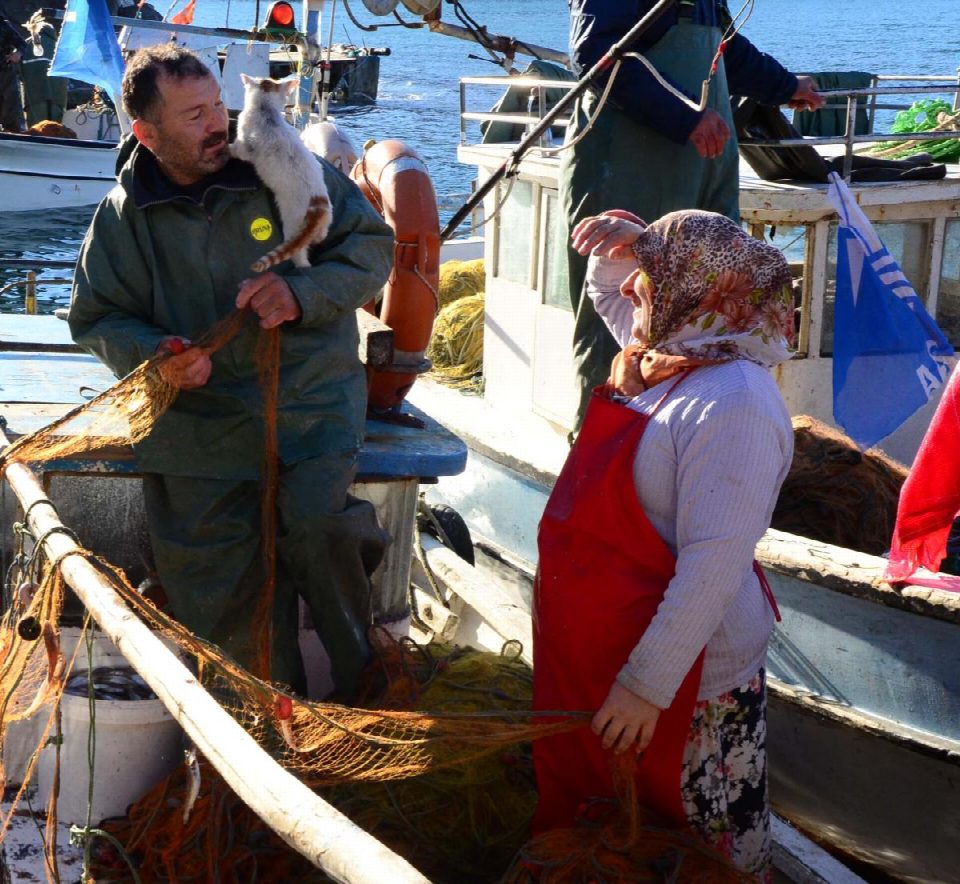 Balık avında kedisi yalnız bırakmıyor