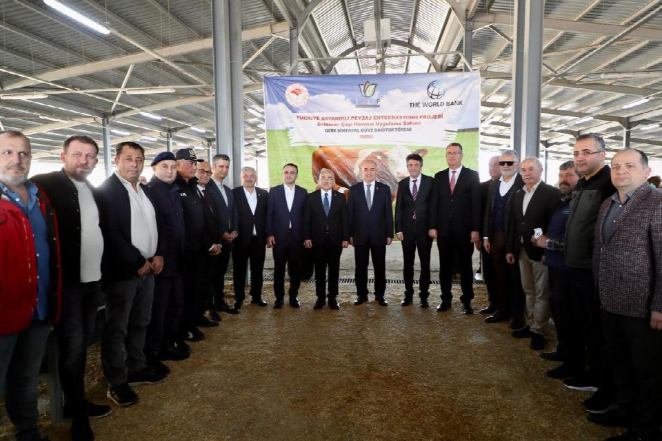 BOLAMAN HAVZASI REHABİLİTASYON PROJESİ KAPSAMINDA ÜRETİCİLERE GEBE DÜVE DAĞITIMI YAPILDI