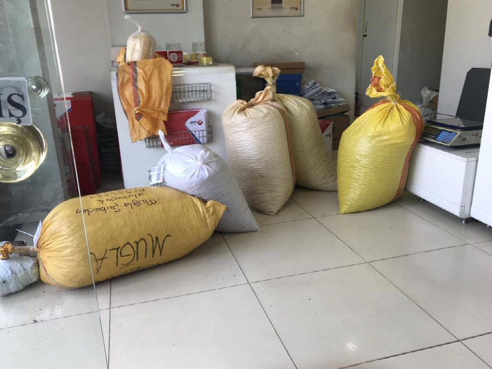 Kargolar ve otogarlar fındık çuvalı ile doldu