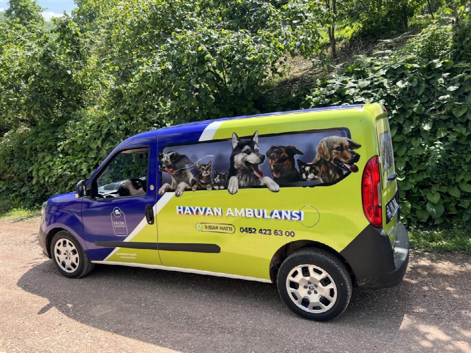 Tam donanımlı hayvan ambulansı hizmete sunuldu
