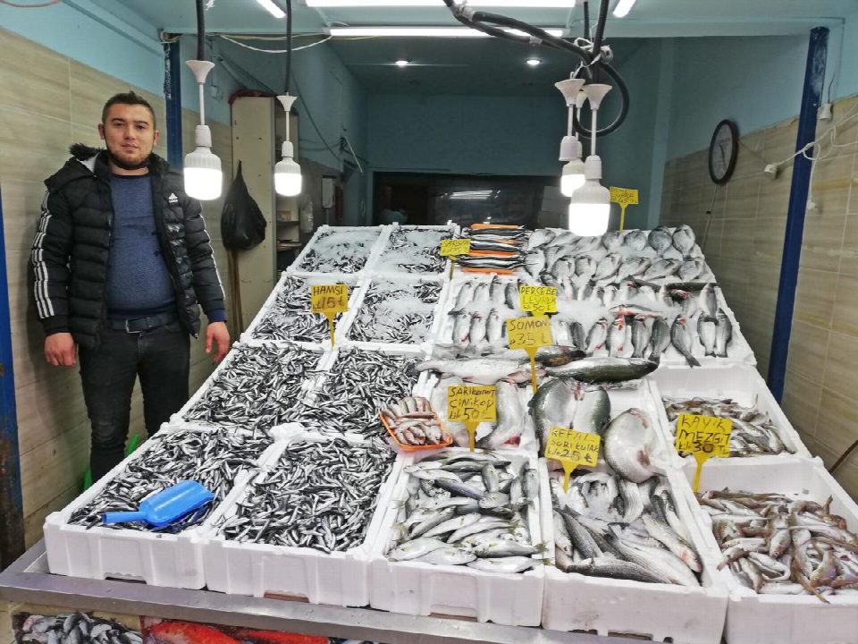 Hamsi 15 liradan satılıyor