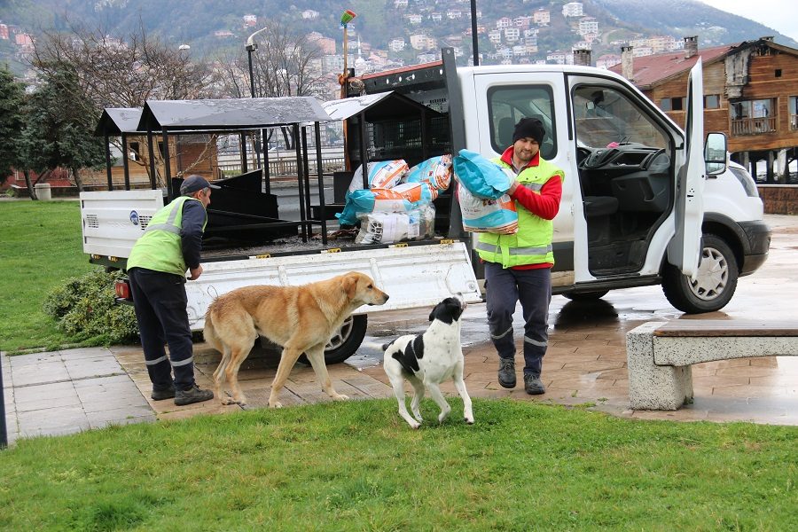 Sokak hayvanları için de tedbir alındı
