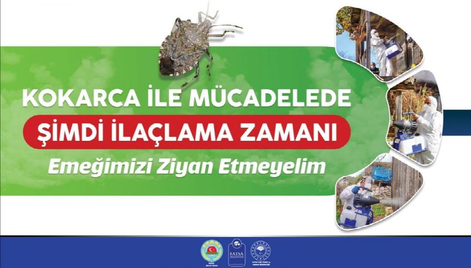Fatsa Belediye Başkanı Etem Kibar; Fındık hasadına sayılı günler kala kokarca ile mücadele önemli