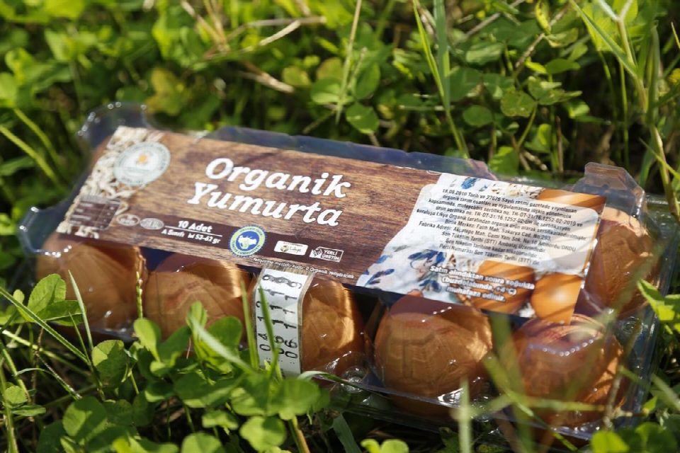 ORGANİK SERTİFİKALI YUMURTALAR REYONLARDA YERİNİ ALDI