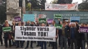SİYANÜR VARSA FINDIK MINDIK YOK
