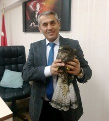 YARALI DOĞANA MÜDÜR SAHİP ÇIKTI