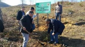 İHH’DAN FATSA’YA ‘YETİM HATIRA ORMANI’