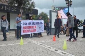 Fatsa'da dünya beyaz baston günü etkinliği