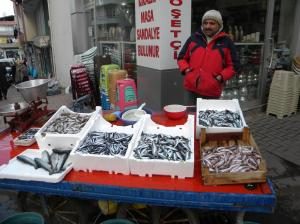 DENİZDE BALIK FAKİRLİĞİ