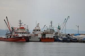 Balık çeşidi azaldı