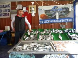 İstavrit Bol Çıkıyor