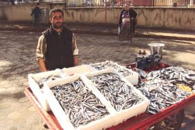 Vatandaş hamsi, istavrit, mezgit ‘i tercih ediyor