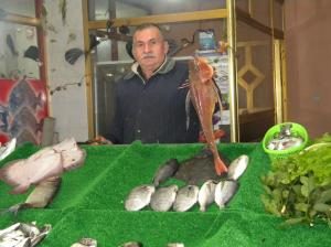 Hamsiyi palamut ve çinekop yedi!