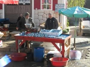 Hangi mevsimde hangi balık yenir?