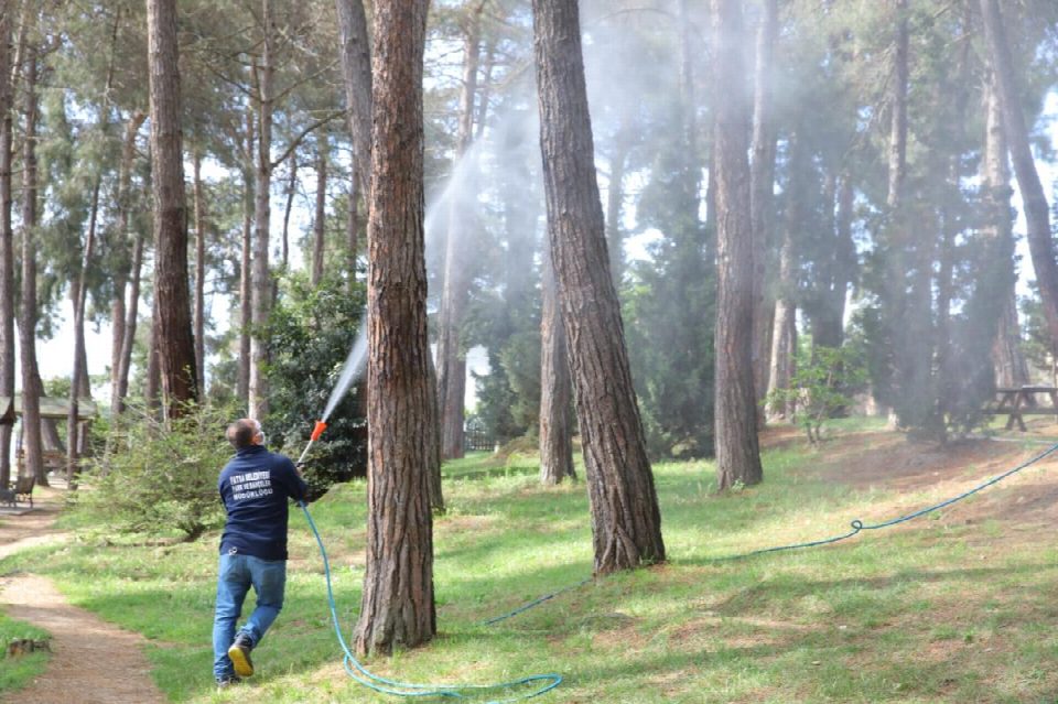 Mesire alanlarında haşere ilaçlaması yapıldı