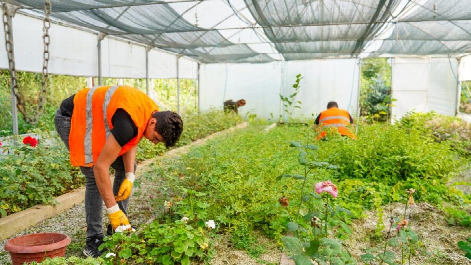 2015 yılında kurulan seradan ciddi tasarruf sağlandı