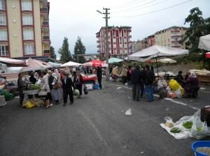 Kış ayı bereketi