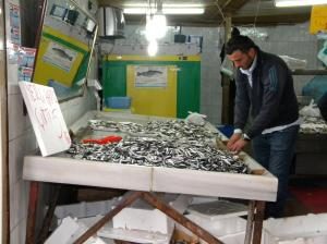 HAMSİ, BALIKÇI TEZGÂHLARINI SÜSLEMEYE BAŞLADI