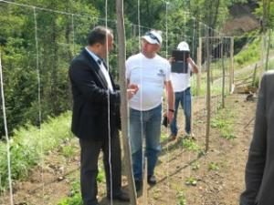 FECKÜD 1500 Kök Karpuz Dikimini Yaptı
