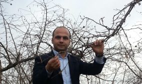 Ziraat Mühendisi İbrahim Ethem Kibar uyardı! DON RİSKİ YÜKSEK...