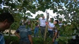 ZİRAAT ODASI ÜRETİCİLERİ BİLGİLENDİRMEYE DEVAM EDİYOR