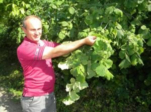 Yine Yeşerdi Fındık Dalları