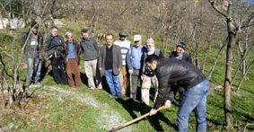 FINDIK ÜRETİCİLERİNE UYGULAMALI EĞİTİM VERİLDİ