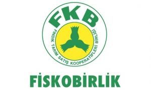 FİSKOBİRLİK 4 TL'den fındık alıyor