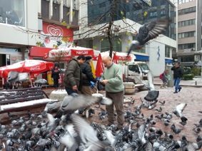 Güvercinleri Kış ayında Vatandaşlar Besliyor