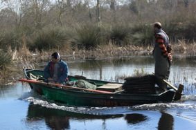 FOTOĞRAFÇILIK KURSU ŞİMDİ DE BAFRA KUŞ CENNETİNDE
