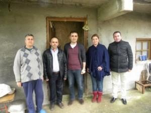 İSTİRİDYE MANTARI, FINDIĞA ALTERNATİF ÜRÜN