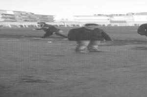 ORDU'NUN KRALI FATSA BELEDİYESPOR