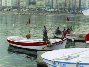 TAZE BALIK KAYIKÇILARDAN ALINIR