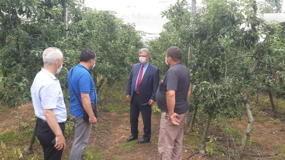 Kaymakam Yaran, meyve bahçesinde incelemelerde bulundu