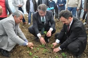 KESME ÇİÇEK YETİŞTİRİCİLİĞİ TARLA GÜNÜ DÜZENLENDİ