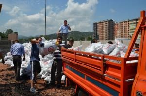 -5 BİN VATANDAŞA 7500 TON KÖMÜR DAĞITILACAK/FATSA'DA KÖMÜR DAĞITIMI BAŞLADI