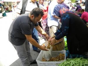 Fındık Mantarı Pahallı