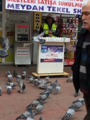 ŞANSINIZI DENEYİN, BANA ÇIKMAZ DEMEYİN “BİR KİŞİYE 50 MİLYON”