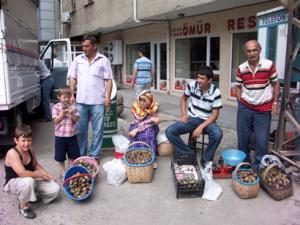 İNCİR GEÇİM KAYNAĞI OLDU
