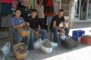İNCİRİN KİLOSU 10 TL
