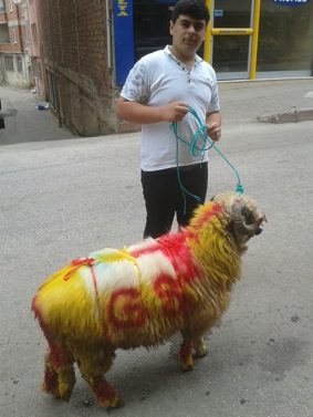 Dileği gerçek olunca kurban kesti
