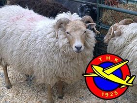TÜRK HAVA KURUMU 851 ADET DERİ TOPLADI