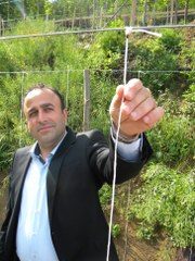 UĞUR BÖCEKLERİ DOĞAYI KORUYOR