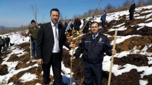 "GÖNÜL ELÇİLERİ BEREKET ORMANI" PROJESİ KAPSAMINDA FİDAN DİKİLDİ