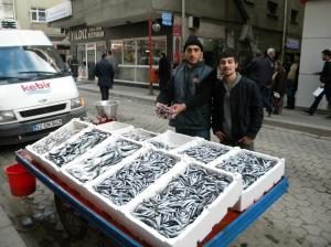 Yerli Hamsi 5 TL’den satılıyor