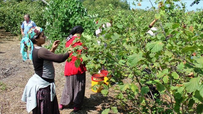 Kaçak’dan vatandaşlara dikkatli olun uyarısı