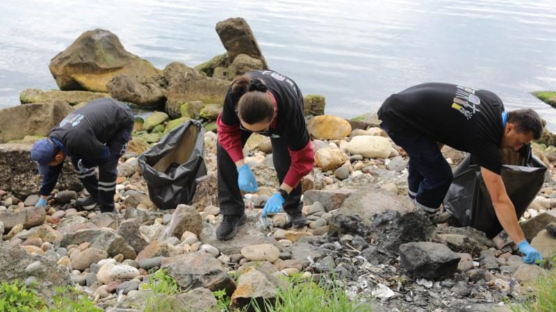 Fatsa’da Türkiye Çevre haftası kapsamında plastik kirliliğine dikkat çekildi