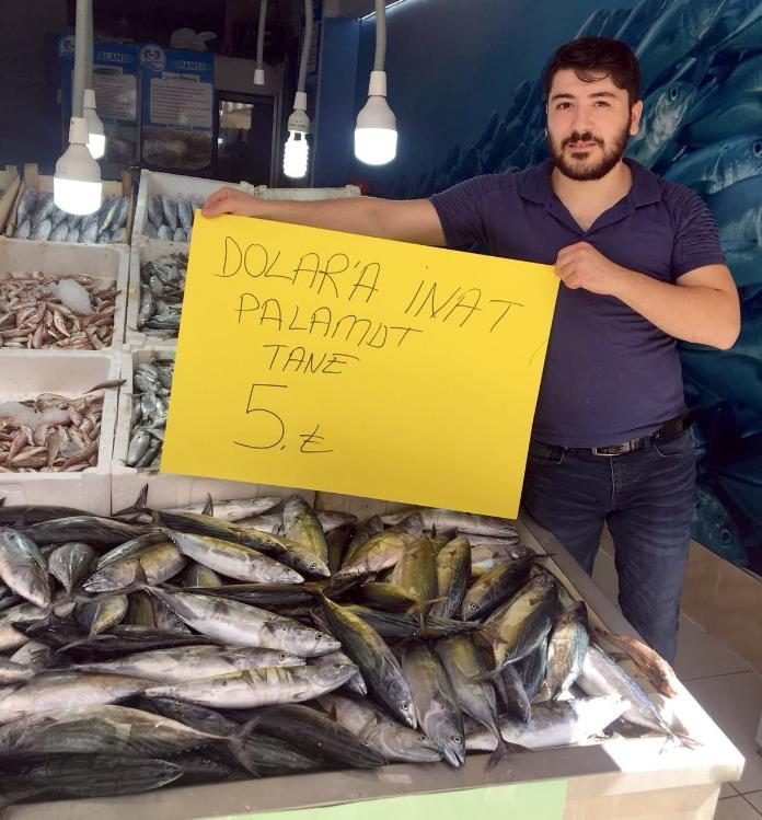 Dolara inat palamut 5 TL